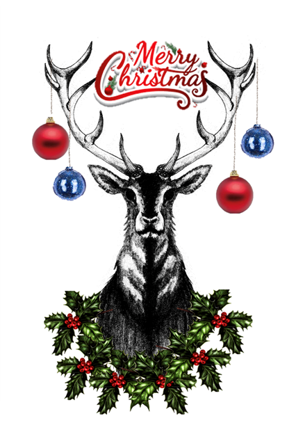 Merry Christmas - Picture of reindeer with baubles